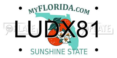 LUDX81 Florida License Plate