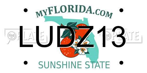 LUDZ13 Florida License Plate