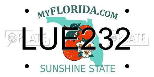 LUE232 Florida License Plate