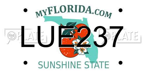 LUE237 Florida License Plate