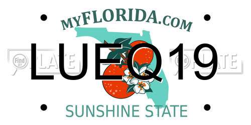 LUEQ19 Florida License Plate