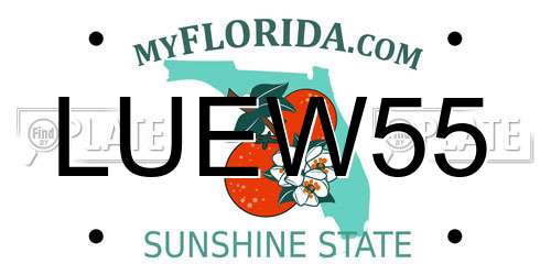 LUEW55 Florida License Plate