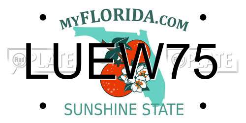 LUEW75 Florida License Plate