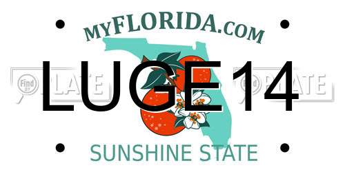 LUGE14 Florida License Plate