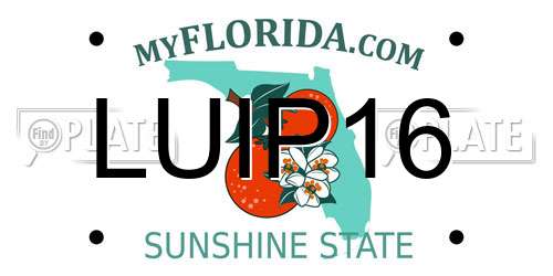 LUIP16 Florida License Plate
