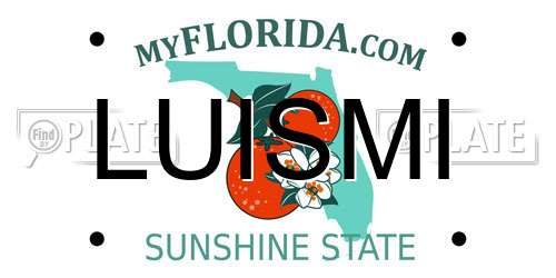 LUISMI Florida License Plate