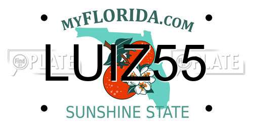 LUIZ55 Florida License Plate