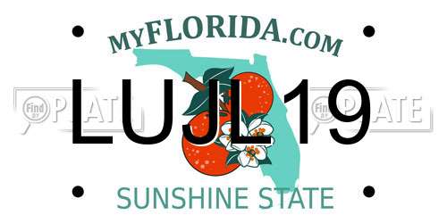 LUJL19 Florida License Plate