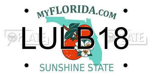 LULB18 Florida License Plate