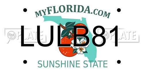 LULB81 Florida License Plate