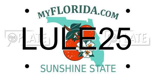 LULE25 Florida License Plate