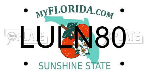 LULN80 Florida License Plate
