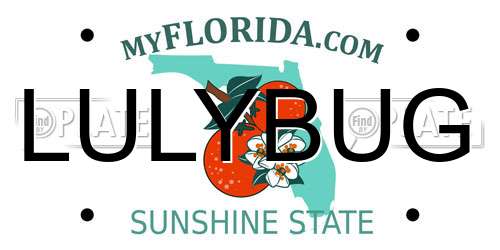 LULYBUG Florida License Plate