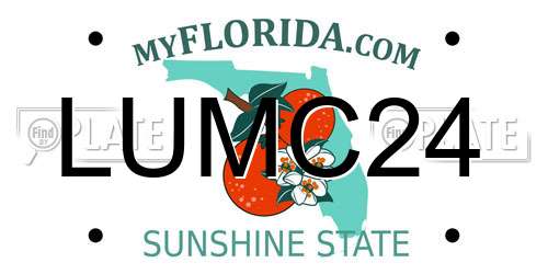 LUMC24 Florida License Plate