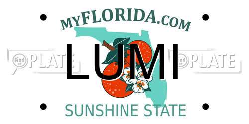 LUMI Florida License Plate