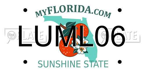 LUML06 Florida License Plate