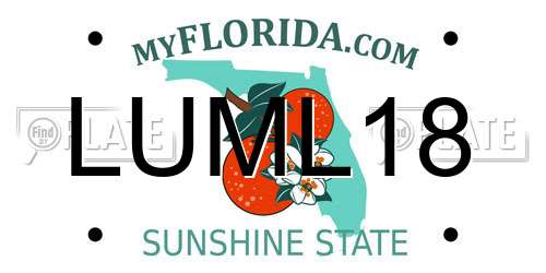 LUML18 Florida License Plate