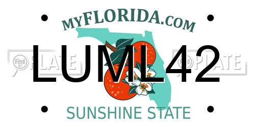LUML42 Florida License Plate