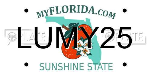 LUMY25 Florida License Plate