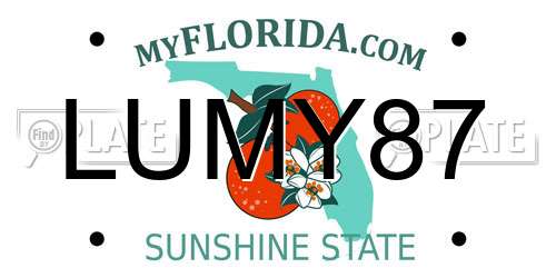 LUMY87 Florida License Plate