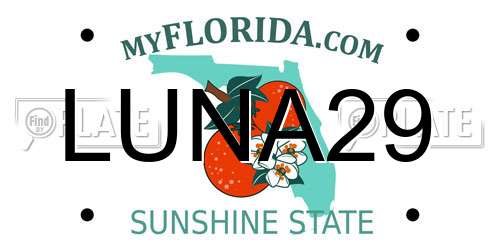 LUNA29 Florida License Plate