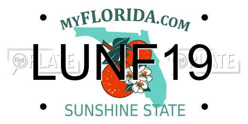 LUNF19 Florida License Plate