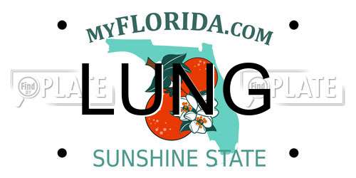 LUNG Florida License Plate