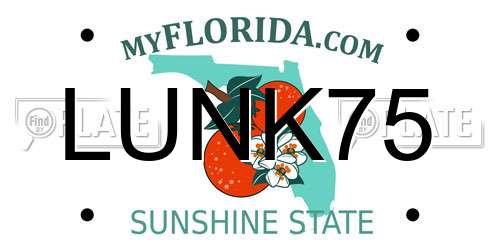 LUNK75 Florida License Plate