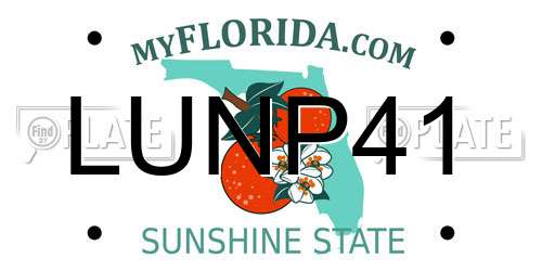 LUNP41 Florida License Plate