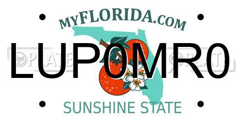 LUP0MR0 Florida License Plate
