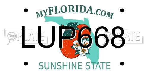 LUP668 Florida License Plate
