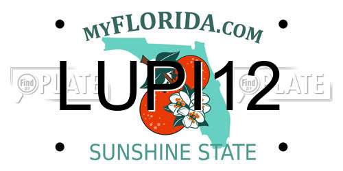 LUPI12 Florida License Plate