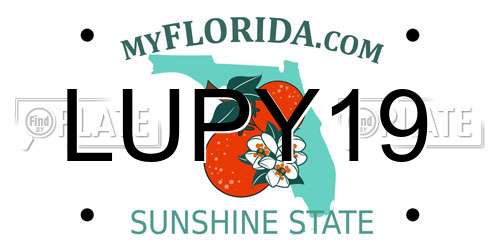 LUPY19 Florida License Plate