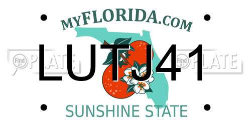 LUTJ41 Florida License Plate