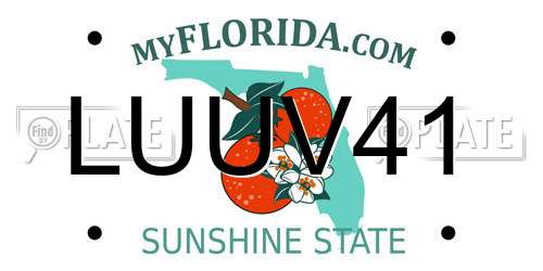 LUUV41 Florida License Plate