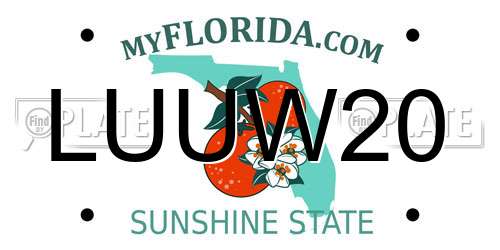 LUUW20 Florida License Plate
