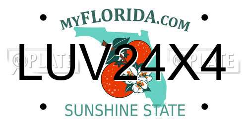 LUV24X4 Florida License Plate