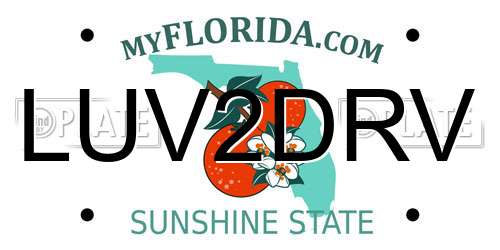 LUV2DRV Florida License Plate