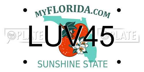 LUV45 Florida License Plate