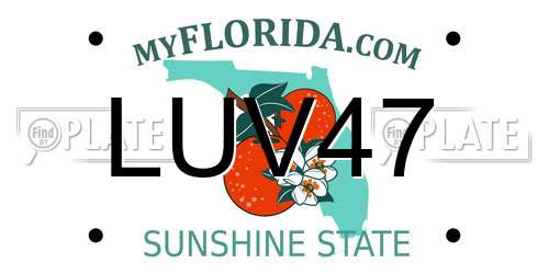 LUV47 Florida License Plate
