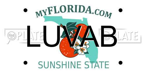 LUVAB Florida License Plate
