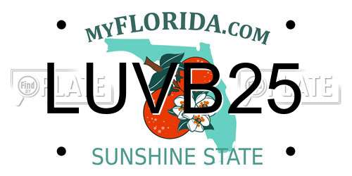 LUVB25 Florida License Plate
