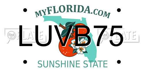 LUVB75 Florida License Plate