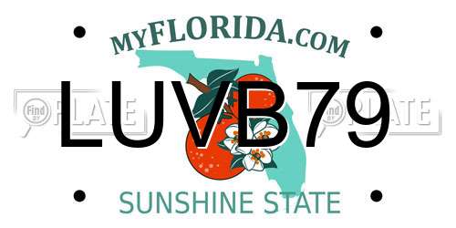 LUVB79 Florida License Plate