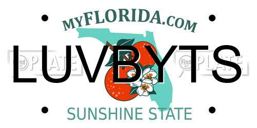 LUVBYTS Florida License Plate