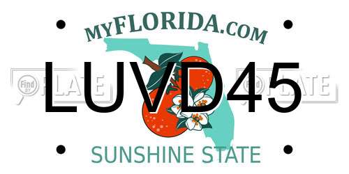 LUVD45 Florida License Plate