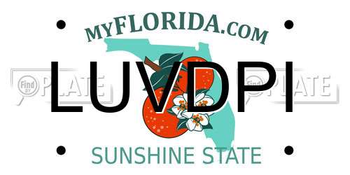 LUVDPI Florida License Plate