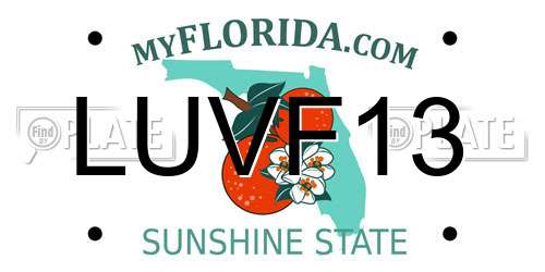 LUVF13 Florida License Plate