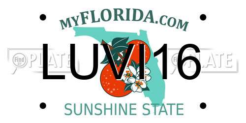 LUVI16 Florida License Plate