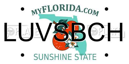 LUVSBCH Florida License Plate
